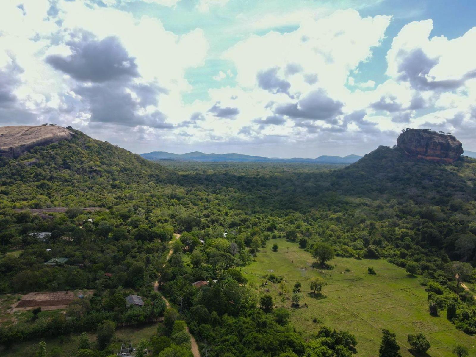 Sigiri Close-Up View Guest Sigiriya Esterno foto