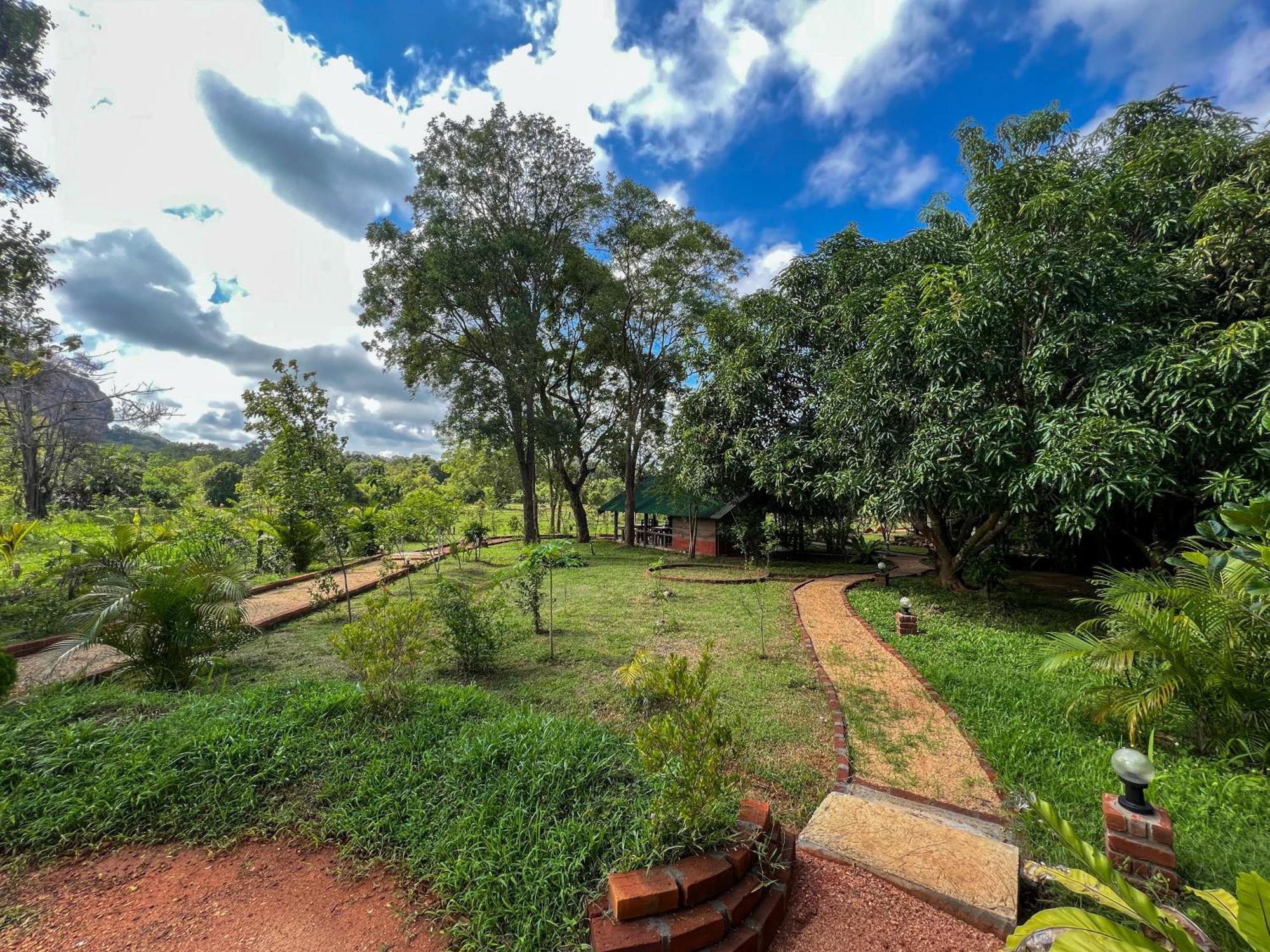 Sigiri Close-Up View Guest Sigiriya Esterno foto